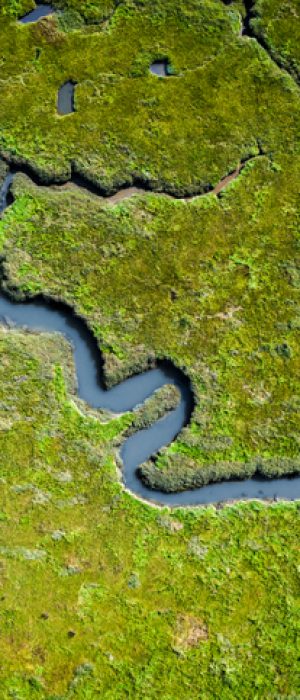 Aerial view of lush coastal wetlands in Wales, UK